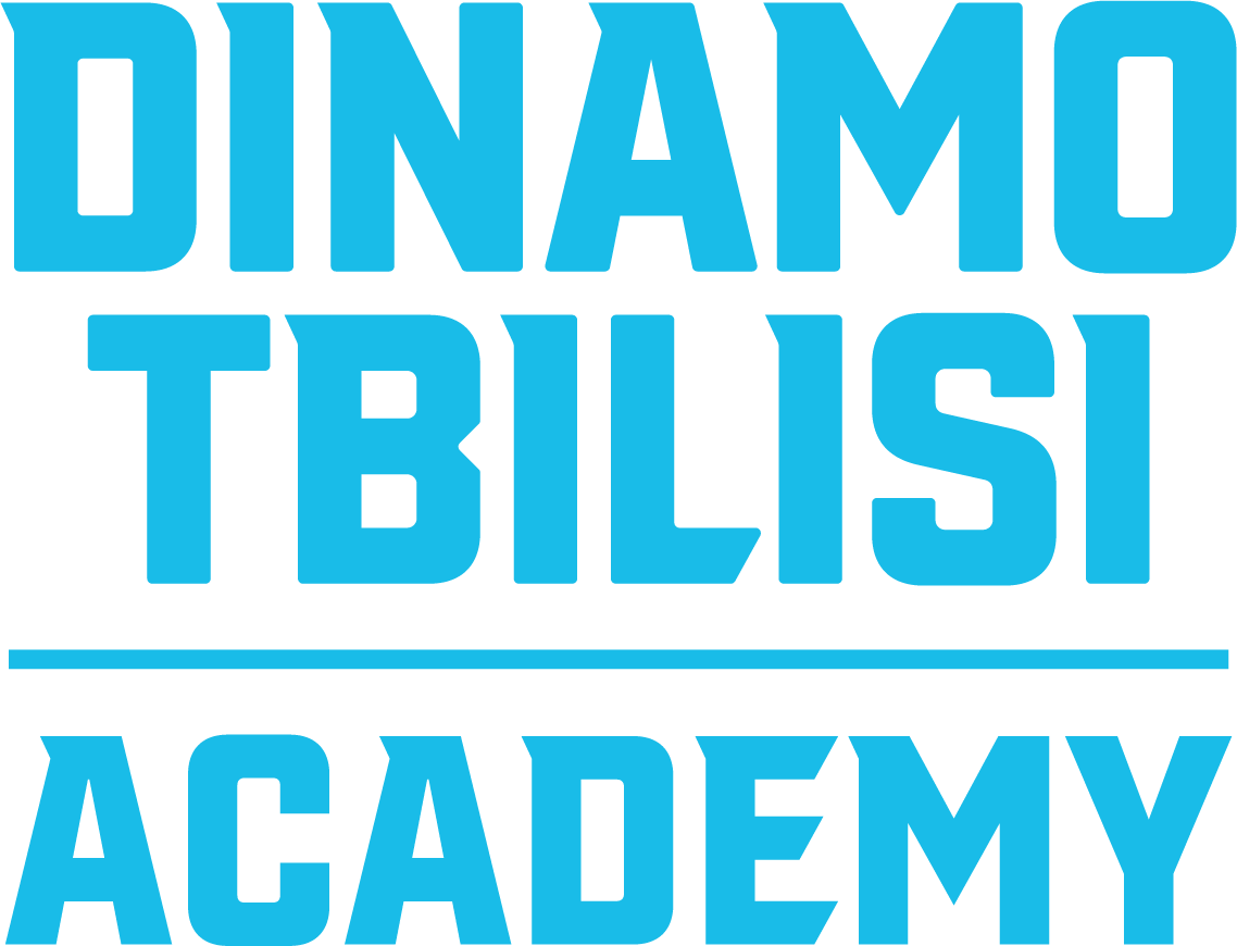 Dinamo Academy